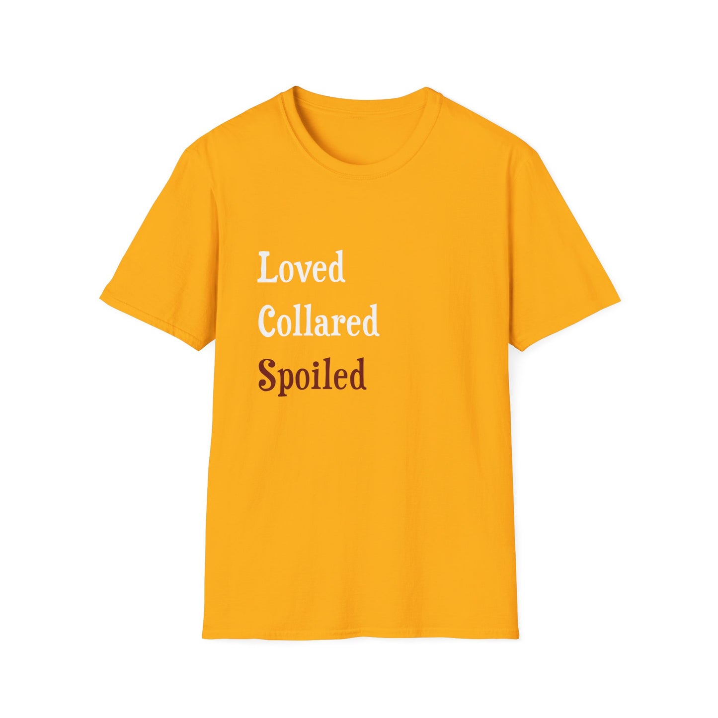 Loved Collared Spoiled T-Shirt for Adult Playtime, Perfect gift for your Submissive Kink Partner
