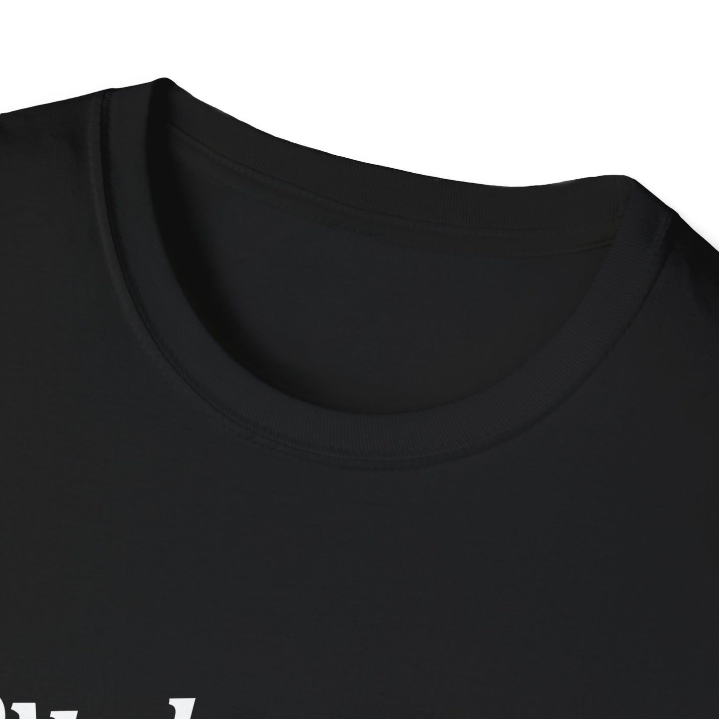 Loved Collared Spoiled T-Shirt for Adult Playtime, Perfect gift for your Submissive Kink Partner