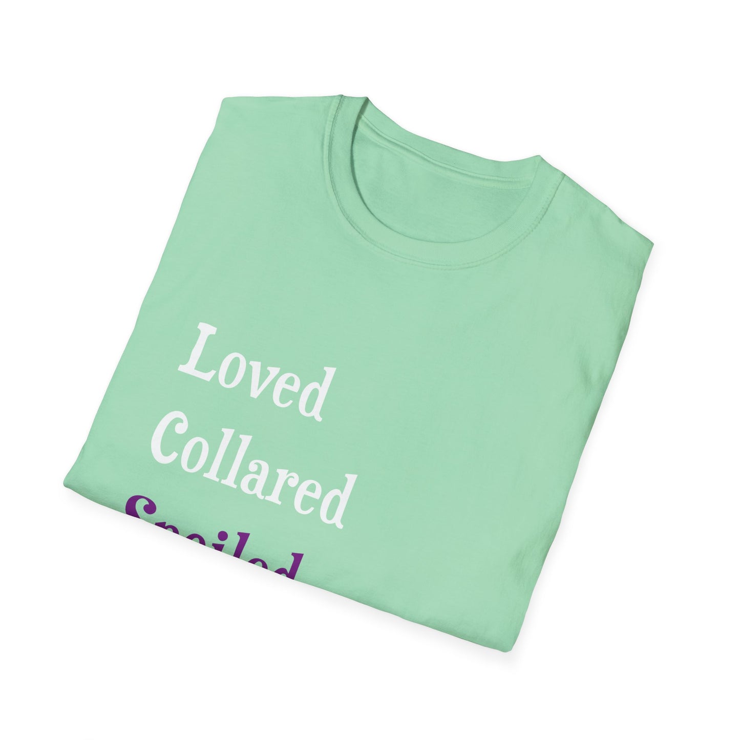 Loved Collared Spoiled T-Shirt for Adult Playtime, Perfect gift for your Submissive Kink Partner