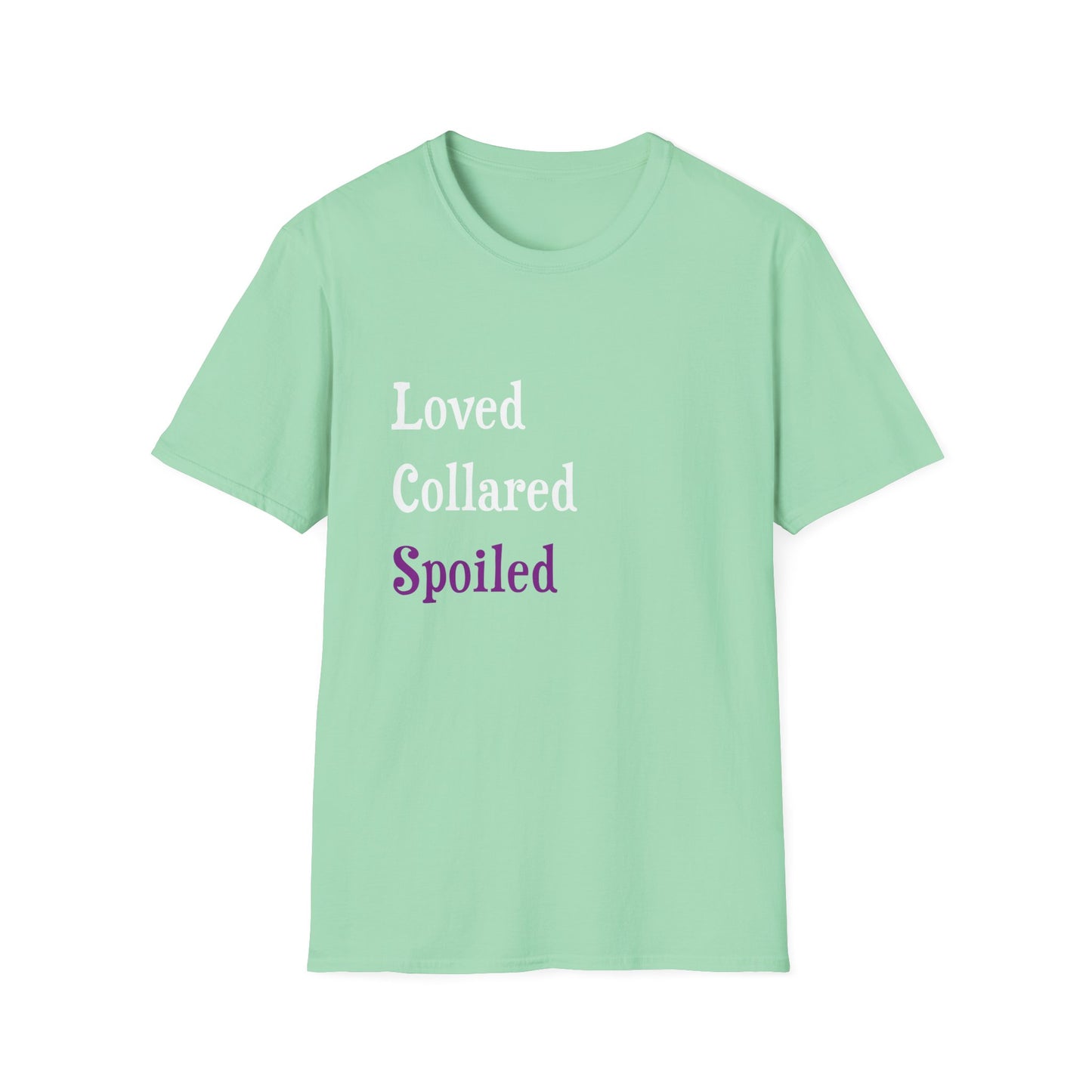 Loved Collared Spoiled T-Shirt for Adult Playtime, Perfect gift for your Submissive Kink Partner