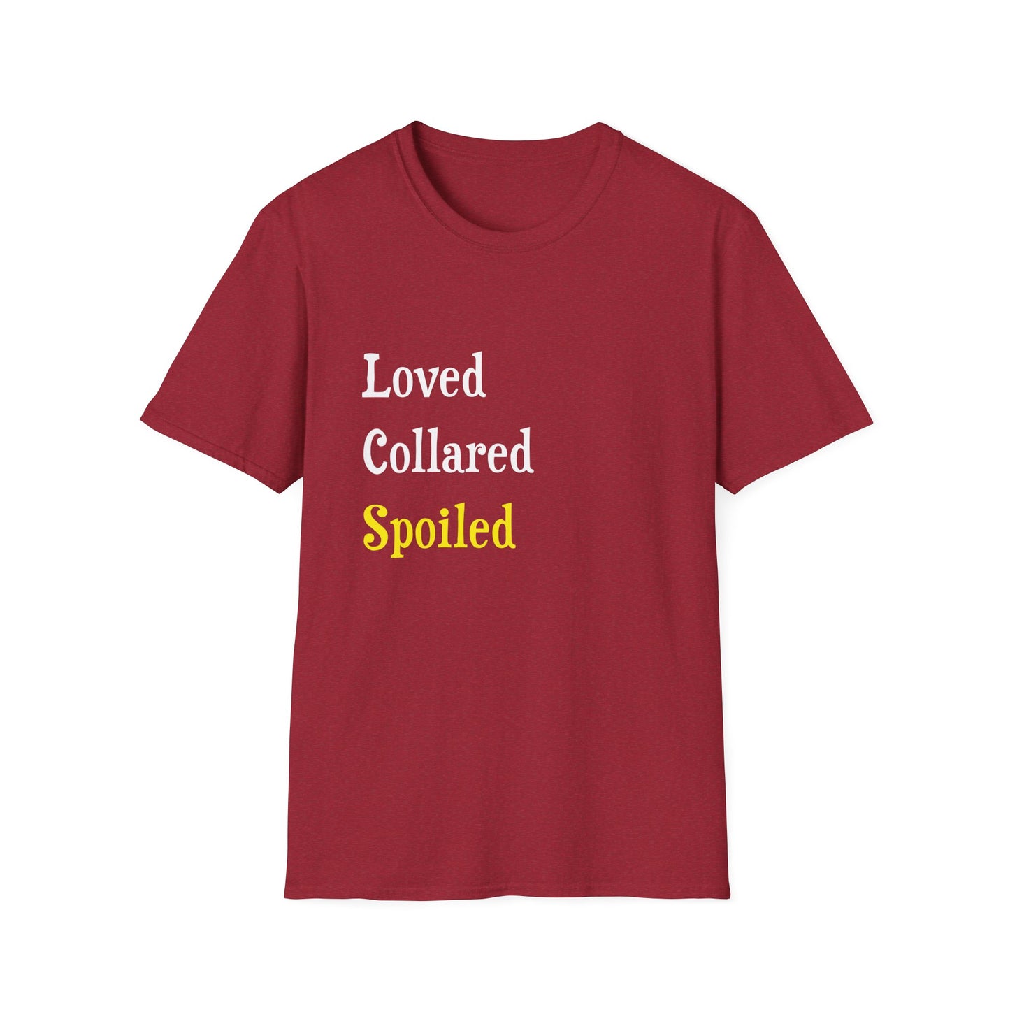 Loved Collared Spoiled T-Shirt for Adult Playtime, Perfect gift for your Submissive Kink Partner