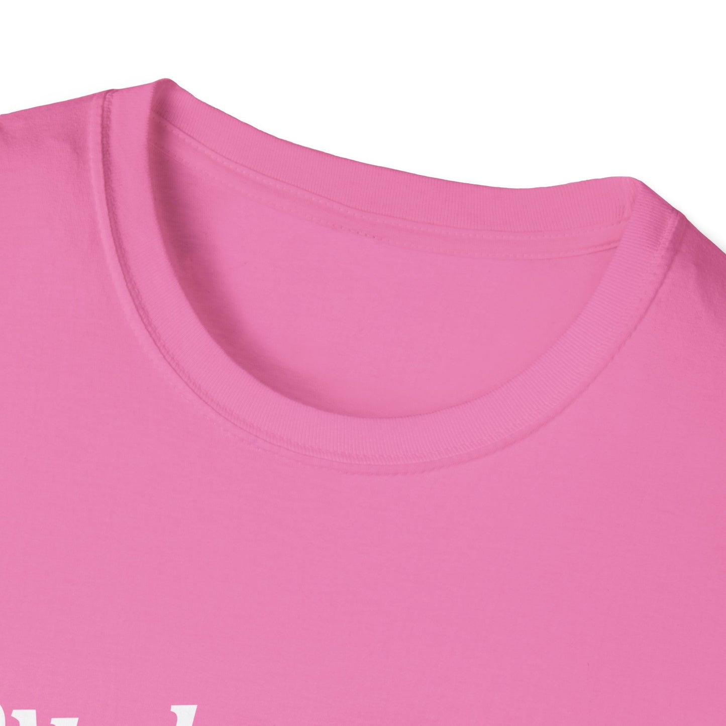 Loved Collared Spoiled T-Shirt for Adult Playtime, Perfect gift for your Submissive Kink Partner