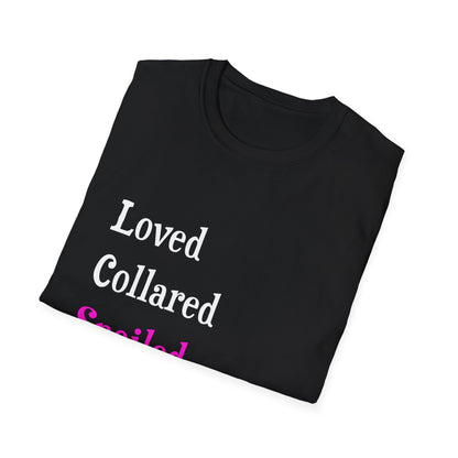 Loved Collared Spoiled T-Shirt for Adult Playtime, Perfect gift for your Submissive Kink Partner