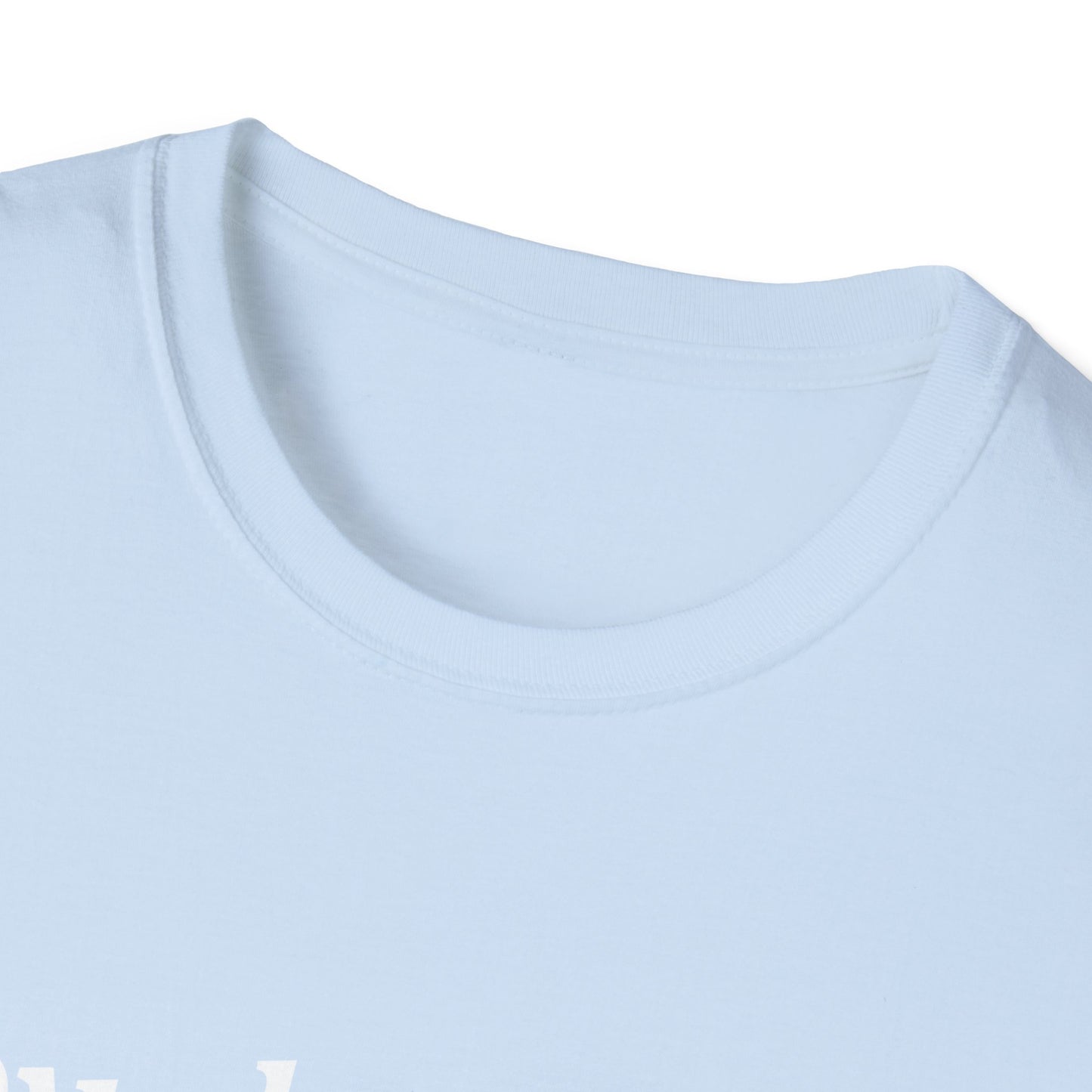 Loved Collared Spoiled T-Shirt for Adult Playtime, Perfect gift for your Submissive Kink Partner