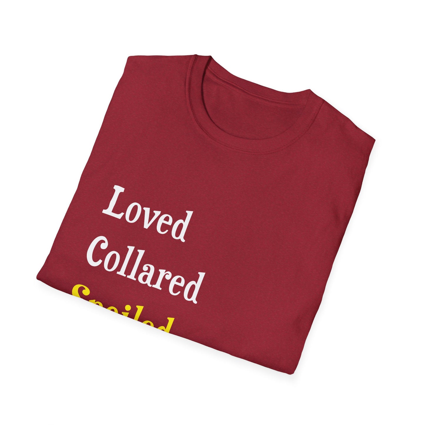 Loved Collared Spoiled T-Shirt for Adult Playtime, Perfect gift for your Submissive Kink Partner