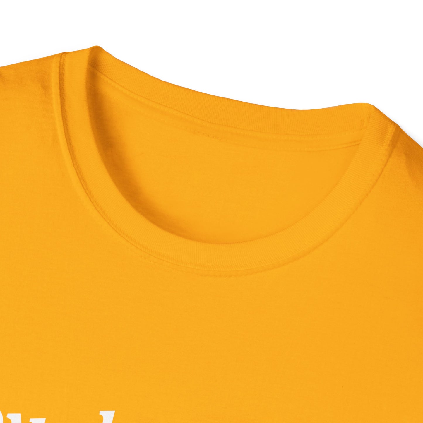 Loved Collared Spoiled T-Shirt for Adult Playtime, Perfect gift for your Submissive Kink Partner