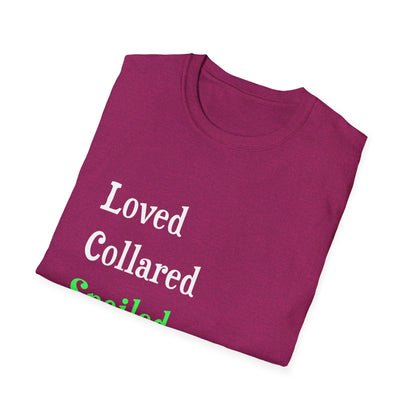 Loved Collared Spoiled T-Shirt for Adult Playtime, Perfect gift for your Submissive Kink Partner