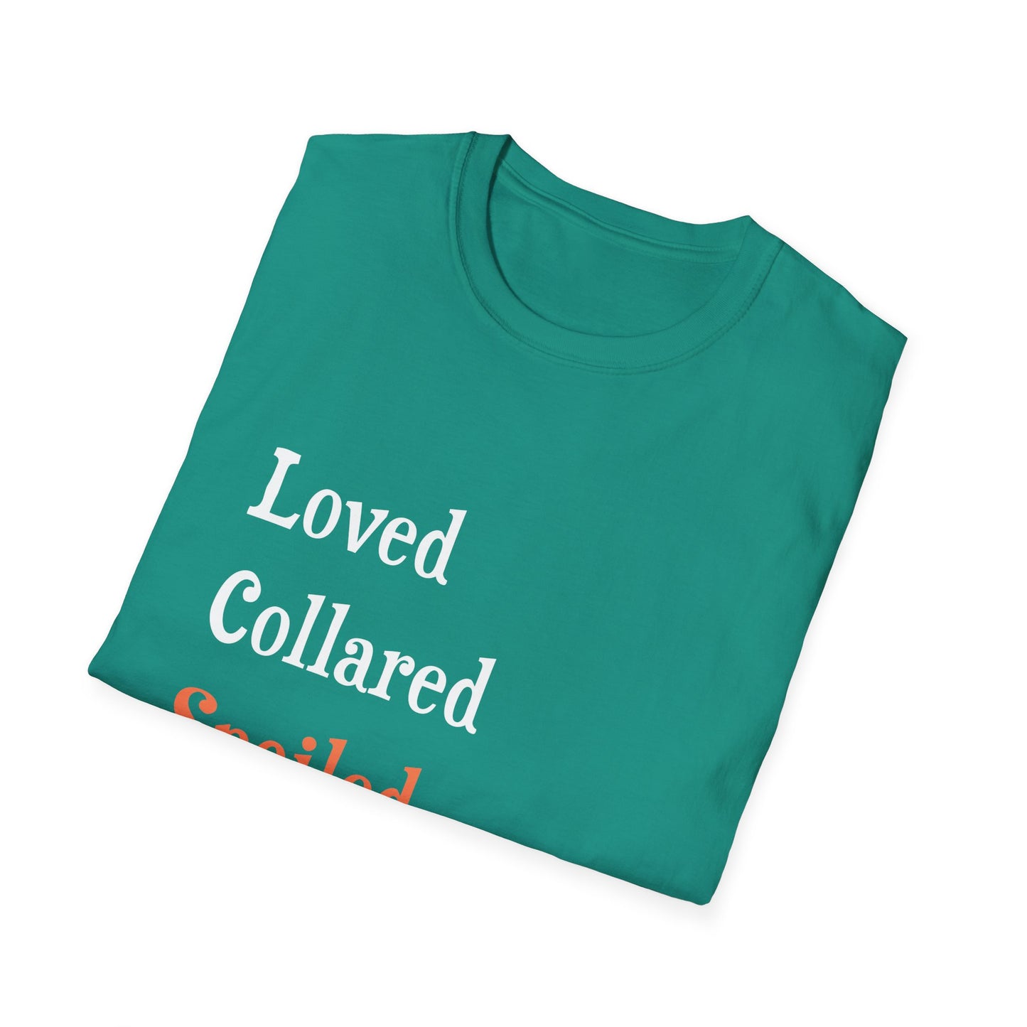 Loved Collared Spoiled T-Shirt for Adult Playtime, Perfect gift for your Submissive Kink Partner