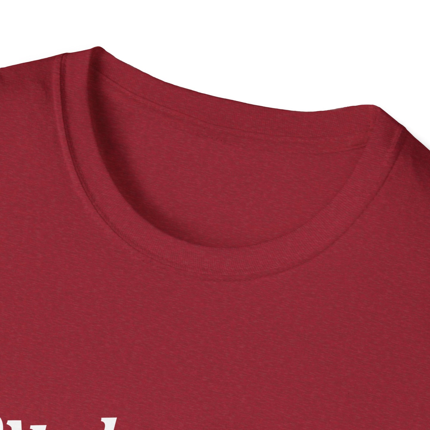 Loved Collared Spoiled T-Shirt for Adult Playtime, Perfect gift for your Submissive Kink Partner
