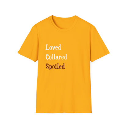Loved Collared Spoiled T-Shirt for Adult Playtime, Perfect gift for your Submissive Kink Partner