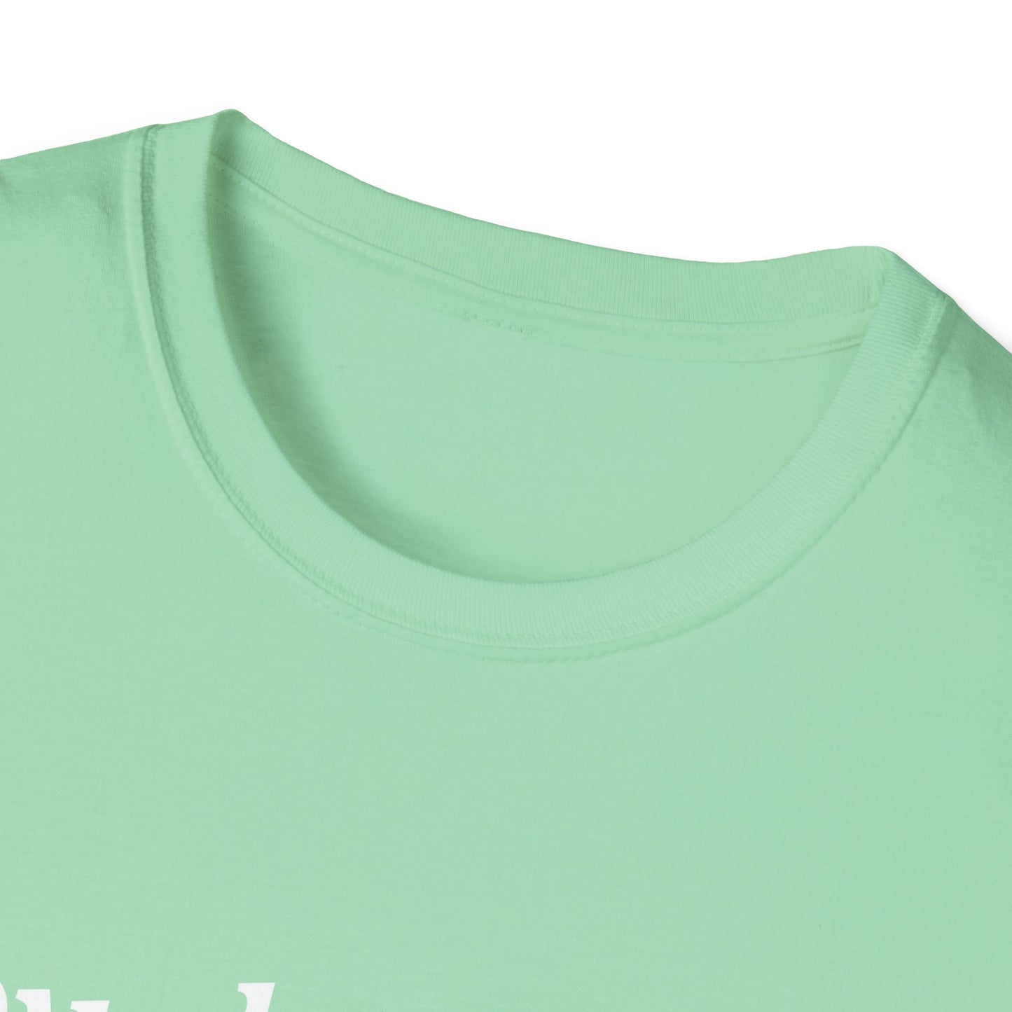Loved Collared Spoiled T-Shirt for Adult Playtime, Perfect gift for your Submissive Kink Partner