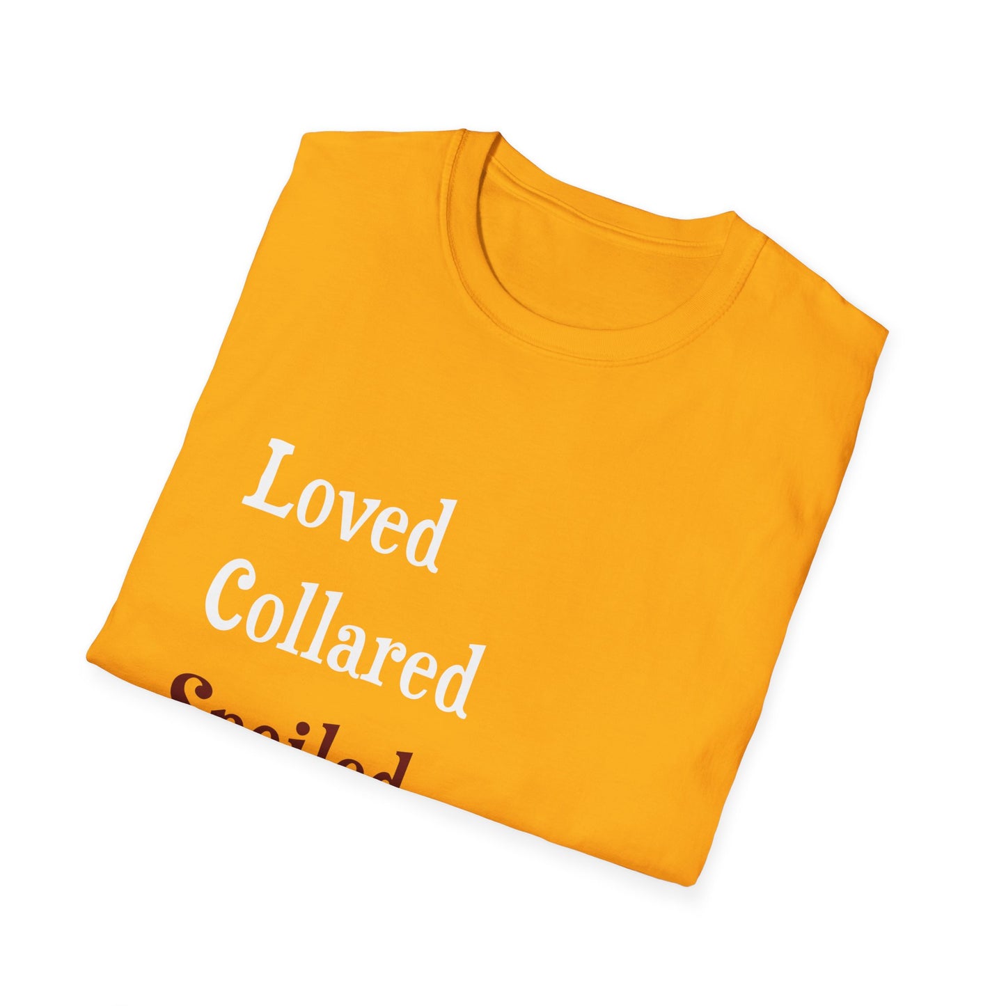 Loved Collared Spoiled T-Shirt for Adult Playtime, Perfect gift for your Submissive Kink Partner