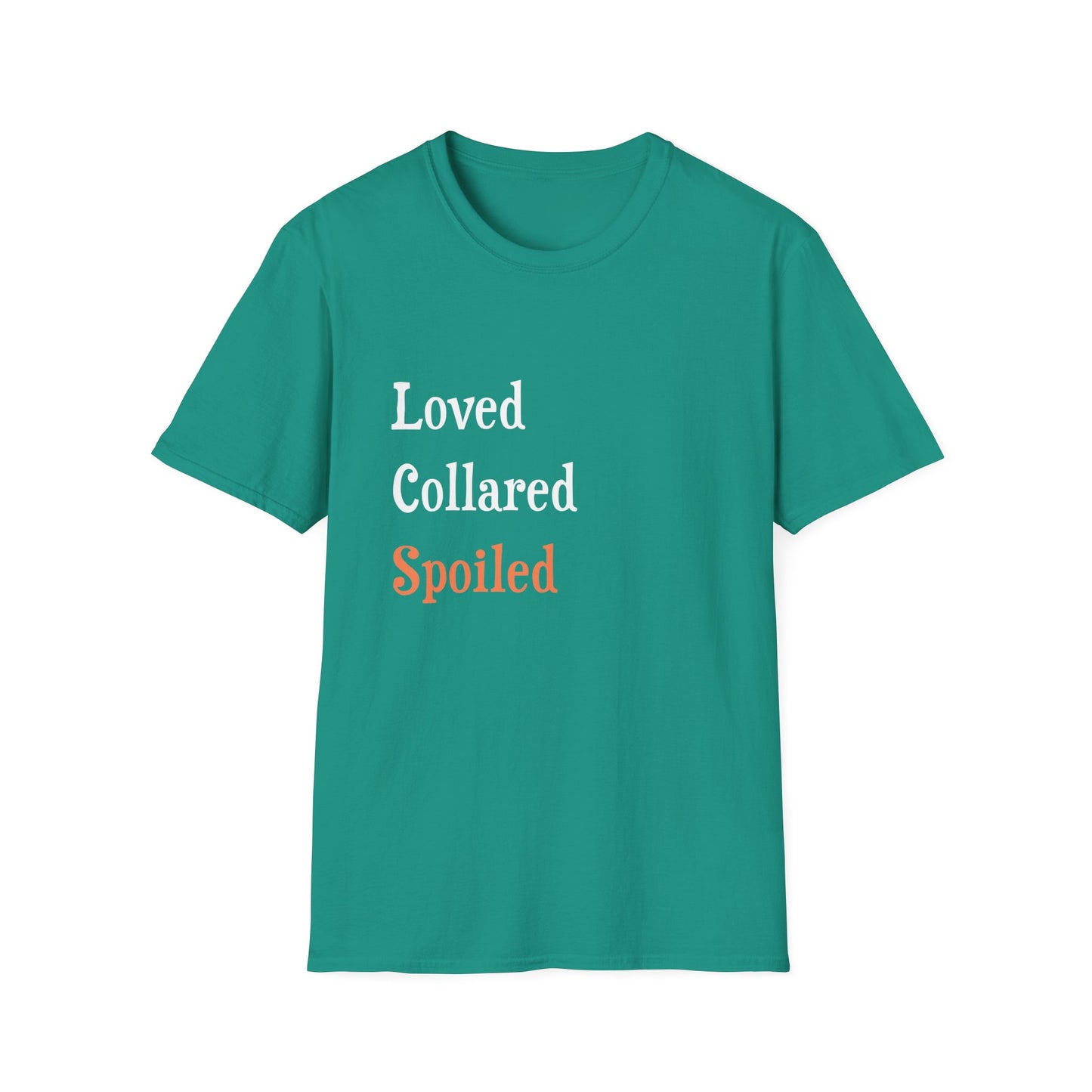 Loved Collared Spoiled T-Shirt for Adult Playtime, Perfect gift for your Submissive Kink Partner