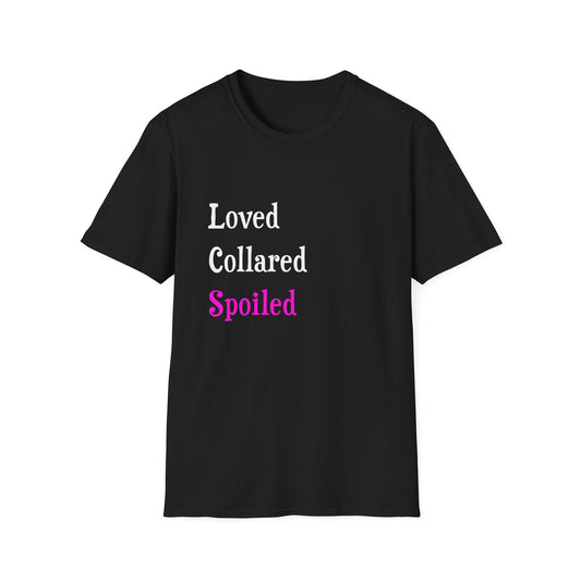 Loved Collared Spoiled T-Shirt for Adult Playtime, Perfect gift for your Submissive Kink Partner