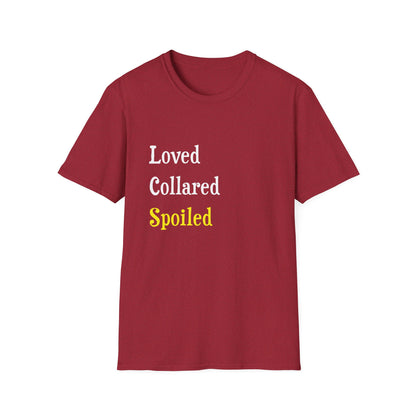 Loved Collared Spoiled T-Shirt for Adult Playtime, Perfect gift for your Submissive Kink Partner
