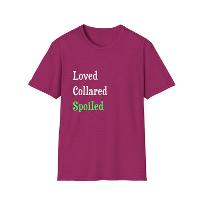 Loved Collared Spoiled T-Shirt for Adult Playtime, Perfect gift for your Submissive Kink Partner